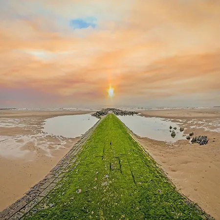 By Zeedijk With Spacious Terrace, Cleaning Included Middelkerke